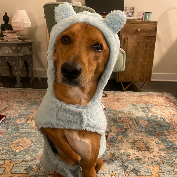 FOLLOW US TO 400K  🌟🌟🌟 THANK YOU ❤️✨❤️✨❤️ PLEASE TAG & SHARE ❤️❤️❤️ - Picture 9 of 16